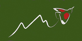 Descripción de la imagen